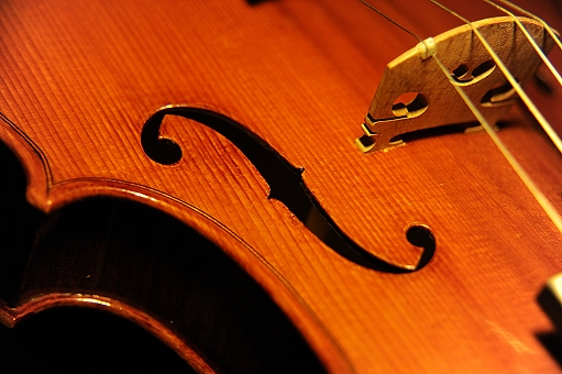 Pica Viola Cremona ITALY MAGICO