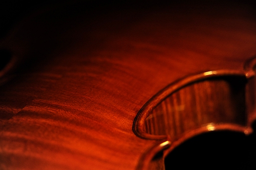 Viola Cremona ITALY MAGICO