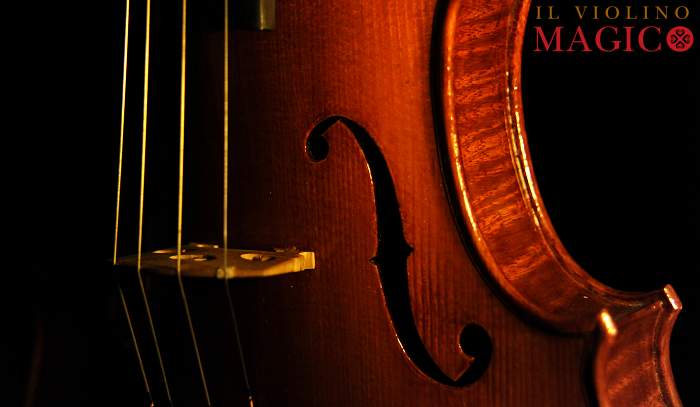 ���B�I�� �N�����i �C�^���A