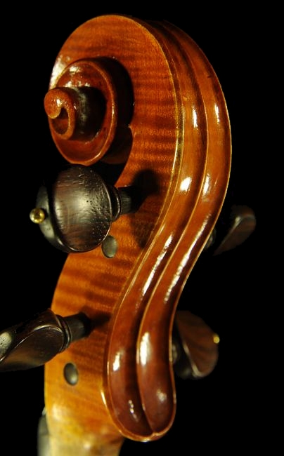 �}���t���f�B�[�j �r�I�� �C�^���A �}�W�R