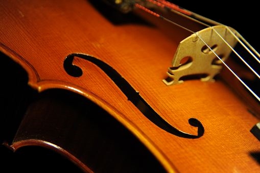 Manfredini Viola Italy MAGICO