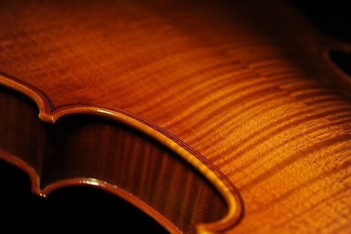 �}���t���f�B�[�j �r�I�� �C�^���A �}�W�R