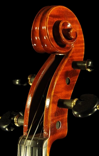 �o�C�I���� �g���u�b�L �}�W�R �N�����i �C�^���A