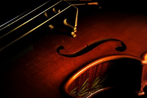 �o�C�I���� �g���u�b�L �}�W�R �N�����i �C�^���A