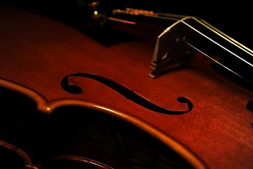 Homage Trabucchi Cremona MAGICO Violin