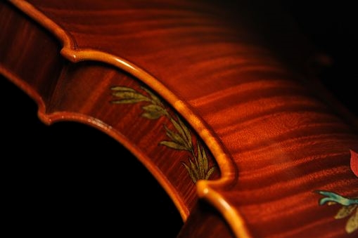 �o�C�I���� �g���u�b�L �}�W�R �N�����i �C�^���A