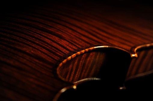 viola magico BUTHOD paris ���B�I��