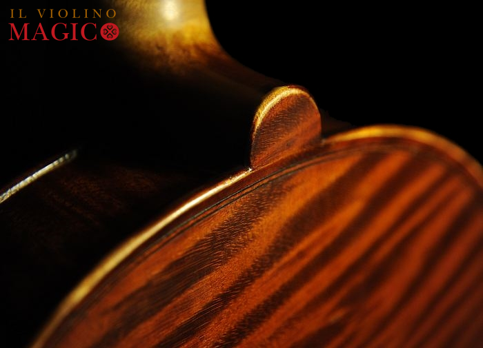 BUTHOD �r�I�� �t�����` �}�W�R �p��