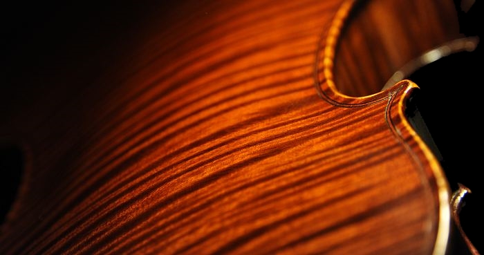 viola magico BUTHOD paris ���B�I��