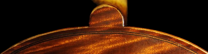 viola magico BUTHOD paris ���B�I��