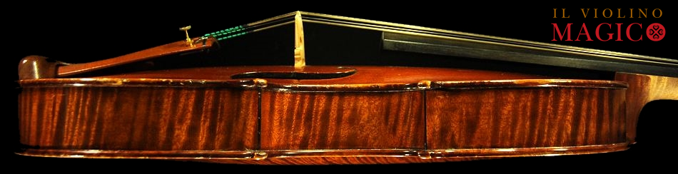 viola magico BUTHOD paris ���B�I��