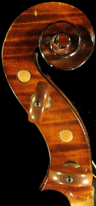 BUTHOD �r�I�� �t�����` �}�W�R �p��