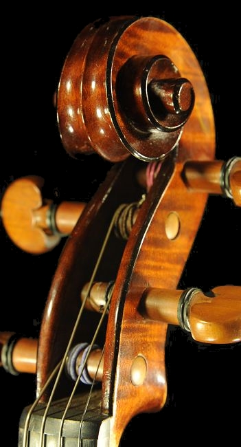 BUTHOD �r�I�� �t�����` �}�W�R �p��