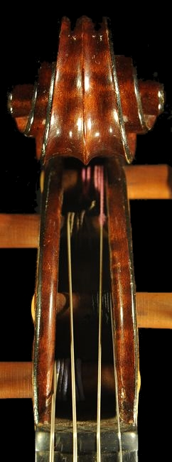 viola magico BUTHOD paris ���B�I��