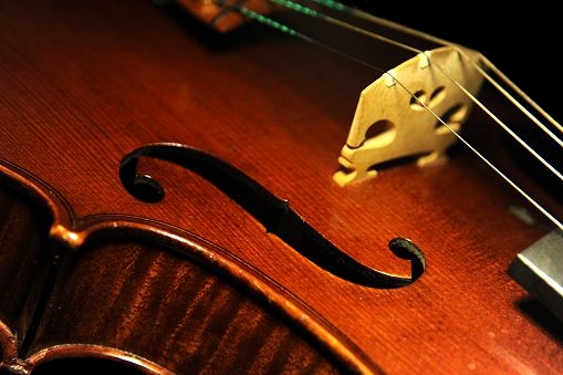 viola magico BUTHOD paris ���B�I��