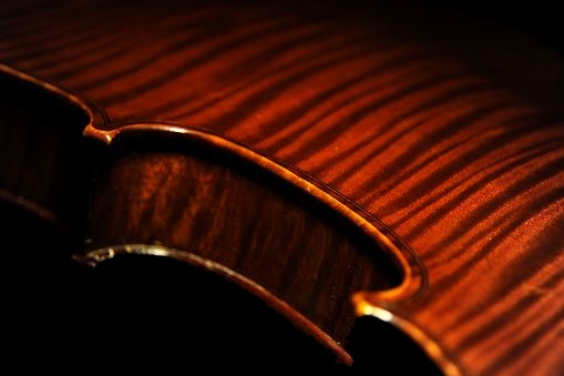 BUTHOD �r�I�� �t�����` �}�W�R �p��