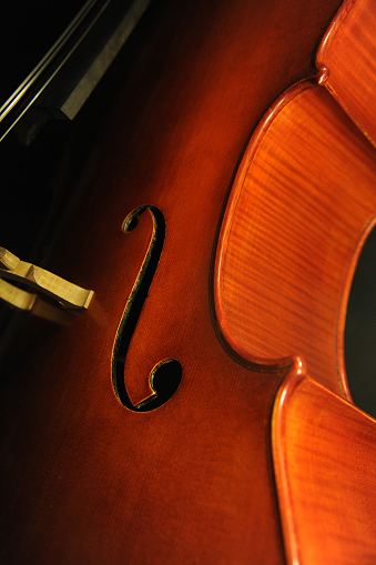 �`�F�� �}�W�R �C�^���A