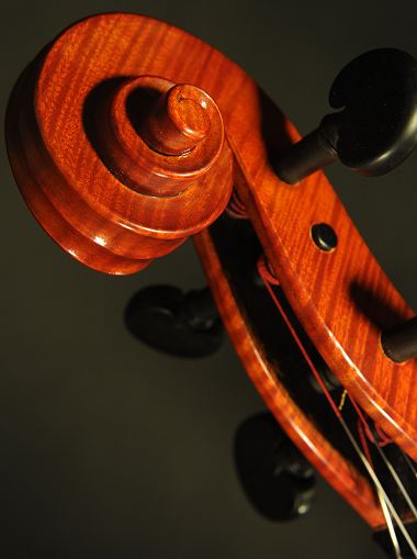 �`�F�� �}�W�R �C�^���A