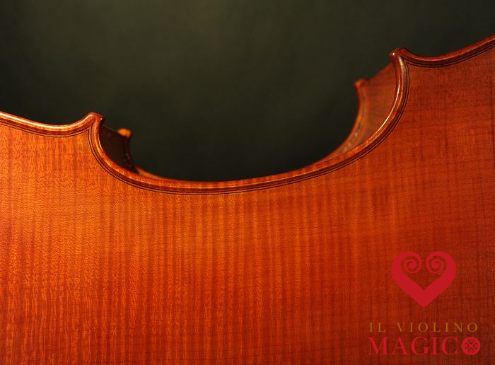 �`�F�� �}�W�R �C�^���A