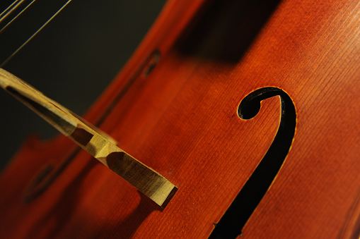 Gadda CELLO MAGICO ITALY