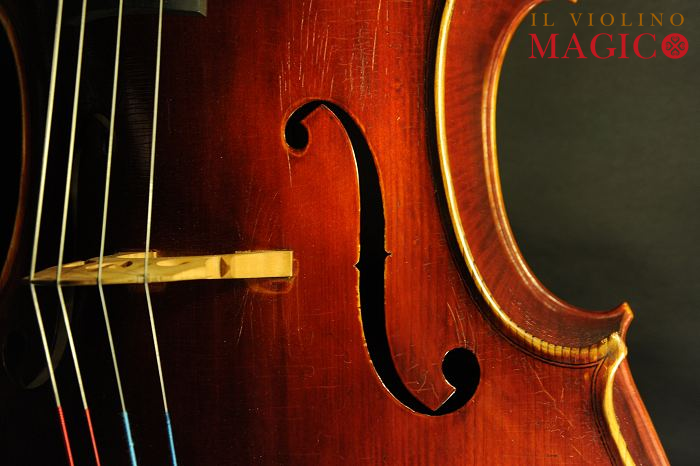 �`�F�� �}�W�R ���_�� �t�����X