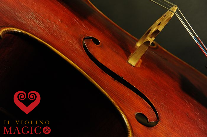 �`�F�� �}�W�R ���_�� �t�����X