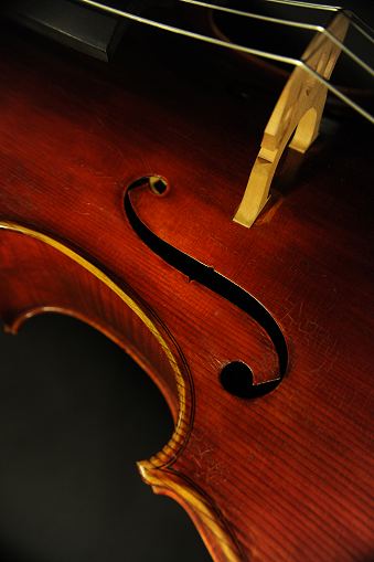 �`�F�� �}�W�R ���_�� �t�����X