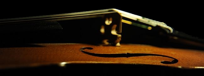 �o�C�I���� �R�������U���p�� �}�W�R