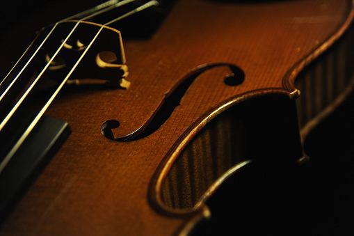 �o�C�I���� �R�������U���p�� �}�W�R