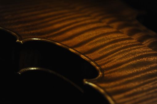 �o�C�I���� �R�������U���p�� �}�W�R