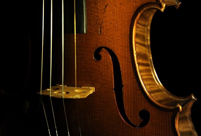 �o�C�I���� �R�������U���p�� �}�W�R