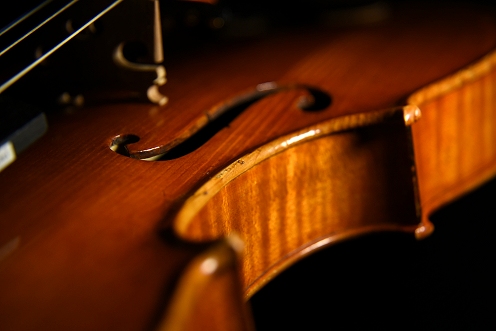 �T�b�R �N�����i �C�^���A