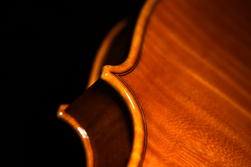 �����C�� �o�C�I���� �C�^���A �}�W�R