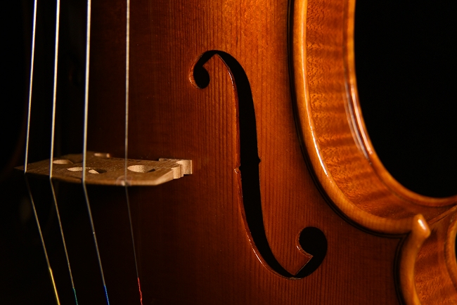 �����C�� �o�C�I���� �C�^���A �}�W�R