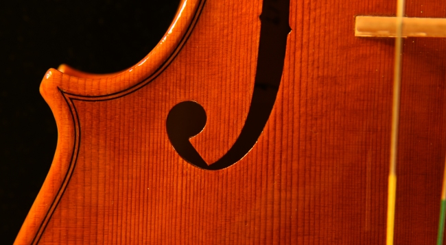 �����C�� �o�C�I���� �C�^���A �}�W�R