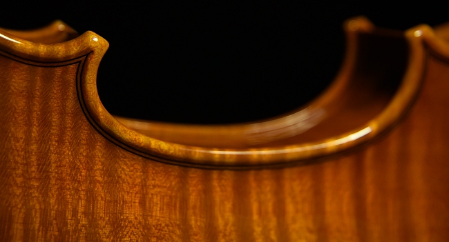 �����C�� �o�C�I���� �C�^���A �}�W�R