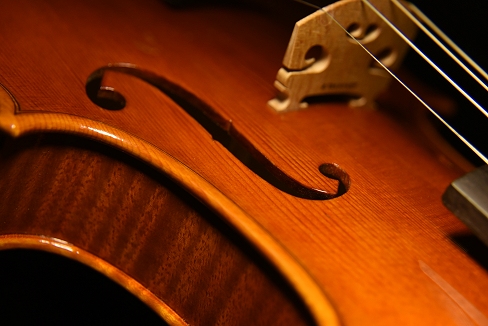 �����C�� �N�����i �o�C�I���� �C�^���A �}�W�R