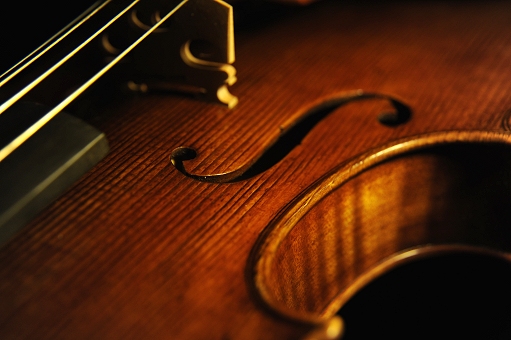 Vettori ���@�C�I���� �t�B�����c�F MAGICO