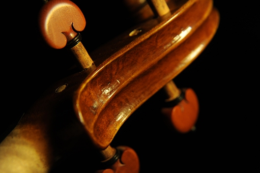 ���@�C�I���� �C�^���A MAGICO