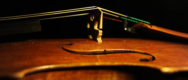 ���@�C�I���� �C�^���A MAGICO