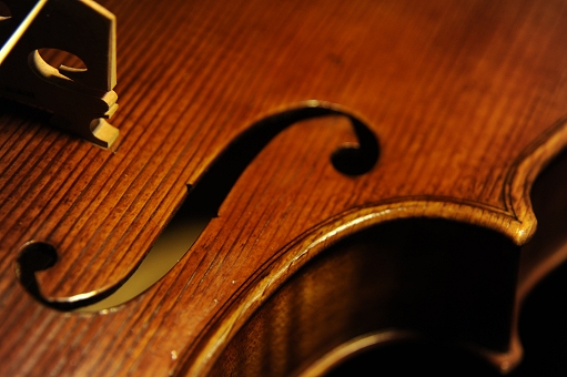 �r�I�� ���F�b�g�[�� �C�^���A �}�W�R