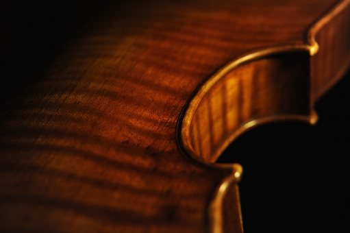 Vettori ���@�C�I���� �t�B�����c�F MAGICO