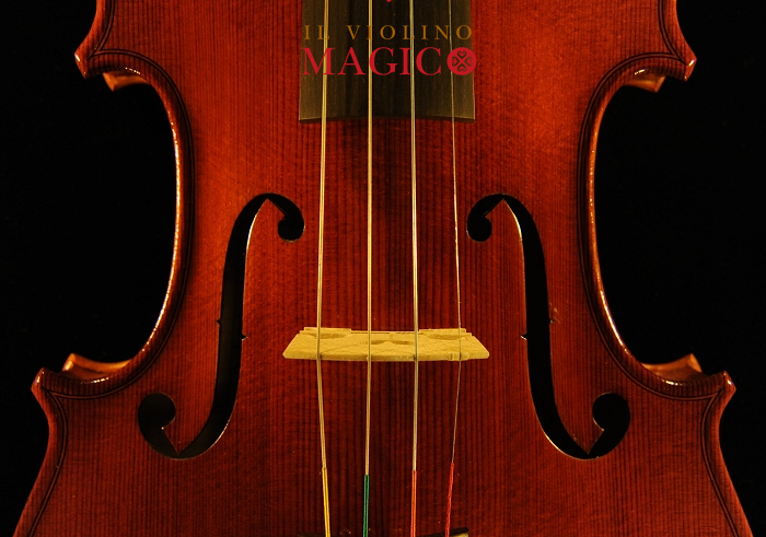 �}�W�R �N�����i �C�^���A