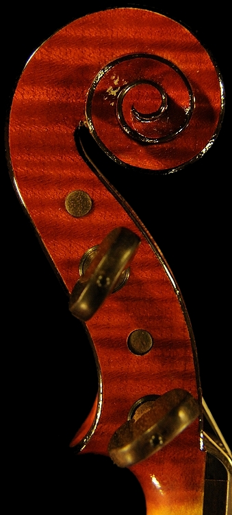 �o�C�I���� �t�@���t�@�[�j �}�W�R �N�����i �C�^���A