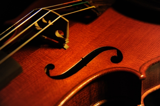 �o�C�I���� �t�@���t�@�[�j �}�W�R �N�����i �C�^���A