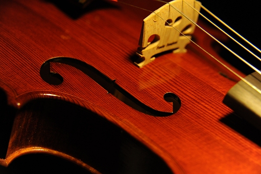 Fanfani Paolo Cremona MAGICO Violin