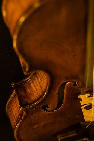 �o�C�I���� �I�[���h �l���V���[�j �n���K���[