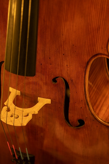 マジコ Cremona civa Cello チーヴァ