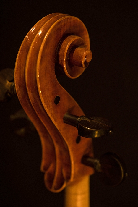 �}�W�R �N�����i civa �`�F�� �`�[���@