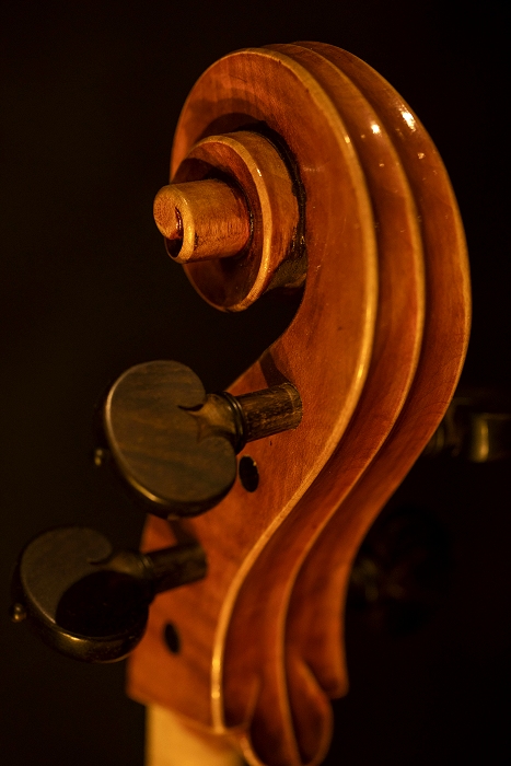マジコ Cremona civa Cello チーヴァ